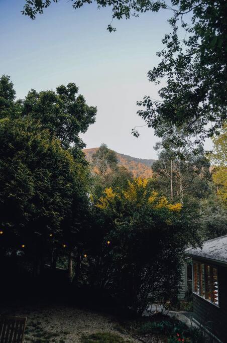 Harrys House Warburton - Peaceful Riverside Cottage In The Perfect Location Exteriér fotografie